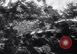 Image of SS Pz Abt 101 France, 1944, second 45 stock footage video 65675039045