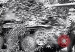Image of SS Pz Abt 101 France, 1944, second 57 stock footage video 65675039045