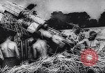 Image of German troops Normandy France, 1944, second 38 stock footage video 65675039048