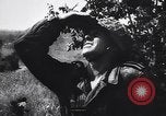 Image of German troops Normandy France, 1944, second 43 stock footage video 65675039048