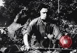Image of German infantry Normandy France, 1944, second 4 stock footage video 65675039049