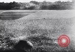 Image of German infantry Normandy France, 1944, second 32 stock footage video 65675039049