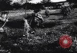 Image of German infantry Normandy France, 1944, second 38 stock footage video 65675039049