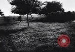 Image of German infantry Normandy France, 1944, second 40 stock footage video 65675039049
