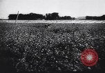 Image of German infantry Normandy France, 1944, second 46 stock footage video 65675039049