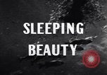Immagine di Sommergibile britannico Sleeping Beauty Regno Unito, 1943, secondo 50 filmato di repertorio 65675039087