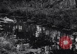 Image of Motorised Submersible Canoe Sleeping Beauty United Kingdom, 1943, second 36 stock footage video 65675039090