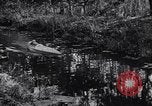 Image of Motorised Submersible Canoe Sleeping Beauty United Kingdom, 1943, second 39 stock footage video 65675039090