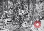 Immagine di Signal Corps Radio 694 SCR United States USA, 1944, secondo 31 filmato di repertorio 65675039093