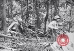 Immagine di Signal Corps Radio 694 SCR United States USA, 1944, secondo 32 filmato di repertorio 65675039093