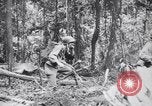 Immagine di Signal Corps Radio 694 SCR United States USA, 1944, secondo 33 filmato di repertorio 65675039093