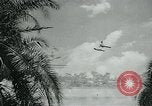 Image of Gyro-copter Florida United States USA, 1963, second 44 stock footage video 65675039098