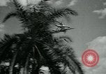 Image of Gyro-copter Florida United States USA, 1963, second 45 stock footage video 65675039098