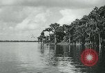 Image of Gyro-copter Florida United States USA, 1963, second 54 stock footage video 65675039098