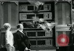 Immagine di Tippi Hedren Albany New York USA, 1963, secondo 24 filmato di repertorio 65675039099