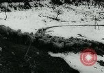 Immagine di Inondazioni in Sardegna Sardegna Italia, 1963, secondo 16 filmato di repertorio 65675039103