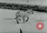 Immagine di Inondazioni in Sardegna Sardegna Italia, 1963, secondo 22 filmato di repertorio 65675039103