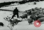Immagine di Inondazioni in Sardegna Sardegna Italia, 1963, secondo 28 filmato di repertorio 65675039103