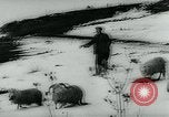 Immagine di Inondazioni in Sardegna Sardegna Italia, 1963, secondo 29 filmato di repertorio 65675039103