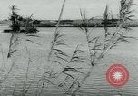 Immagine di Inondazioni in Sardegna Sardegna Italia, 1963, secondo 51 filmato di repertorio 65675039103