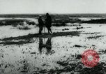 Immagine di Inondazioni in Sardegna Sardegna Italia, 1963, secondo 52 filmato di repertorio 65675039103
