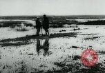 Immagine di Inondazioni in Sardegna Sardegna Italia, 1963, secondo 53 filmato di repertorio 65675039103