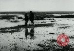 Immagine di Inondazioni in Sardegna Sardegna Italia, 1963, secondo 54 filmato di repertorio 65675039103