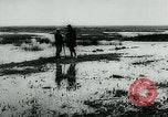 Immagine di Inondazioni in Sardegna Sardegna Italia, 1963, secondo 55 filmato di repertorio 65675039103