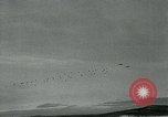 Image des parachutistes de l'Alaska Alaska USA, 1963, de la seconde 52 séquences d'archives historiques vidéo 65675039106