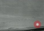 Image des parachutistes de l'Alaska Alaska USA, 1963, de la seconde 53 séquences d'archives historiques vidéo 65675039106