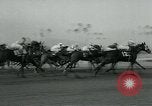 Image of Santa Anita Park California United States USA, 1963, second 18 stock footage video 65675039109
