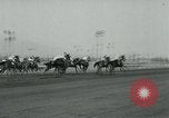 Image of Santa Anita Park California United States USA, 1963, second 19 stock footage video 65675039109