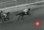 Image of Santa Anita Park California United States USA, 1963, second 28 stock footage video 65675039109