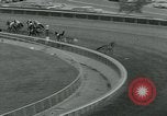 Image of Santa Anita Park California United States USA, 1963, second 40 stock footage video 65675039109