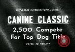 Immagine di Westminster Kennel Club Dog Show event New York United States USA, 1963, secondo 1 filmato di repertorio 65675039116
