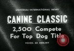 Immagine di Westminster Kennel Club Dog Show event New York United States USA, 1963, secondo 3 filmato di repertorio 65675039116