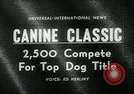 Immagine di Westminster Kennel Club Dog Show event New York United States USA, 1963, secondo 5 filmato di repertorio 65675039116