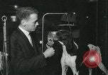 Immagine di Westminster Kennel Club Dog Show event New York United States USA, 1963, secondo 11 filmato di repertorio 65675039116
