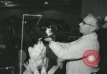Immagine di Westminster Kennel Club Dog Show event New York United States USA, 1963, secondo 15 filmato di repertorio 65675039116