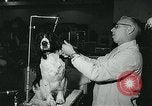 Immagine di Westminster Kennel Club Dog Show event New York United States USA, 1963, secondo 17 filmato di repertorio 65675039116