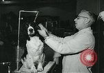 Immagine di Westminster Kennel Club Dog Show event New York United States USA, 1963, secondo 18 filmato di repertorio 65675039116