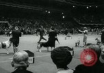 Immagine di Westminster Kennel Club Dog Show event New York United States USA, 1963, secondo 32 filmato di repertorio 65675039116