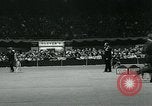 Immagine di Westminster Kennel Club Dog Show event New York United States USA, 1963, secondo 39 filmato di repertorio 65675039116