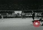 Immagine di Westminster Kennel Club Dog Show event New York United States USA, 1963, secondo 41 filmato di repertorio 65675039116