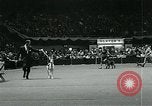 Immagine di Westminster Kennel Club Dog Show event New York United States USA, 1963, secondo 42 filmato di repertorio 65675039116
