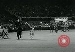 Immagine di Westminster Kennel Club Dog Show event New York United States USA, 1963, secondo 43 filmato di repertorio 65675039116