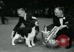 Immagine di Westminster Kennel Club Dog Show event New York United States USA, 1963, secondo 50 filmato di repertorio 65675039116