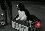 Immagine di Westminster Kennel Club Dog Show event New York United States USA, 1963, secondo 54 filmato di repertorio 65675039116
