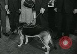 Image of President John Kennedy Washington DC USA, 1963, second 6 stock footage video 65675039119