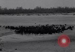 Standbild Blizzards Europa, 1963, aus Sekunde 30 historischem Filmmaterial Videoclip 65675039139